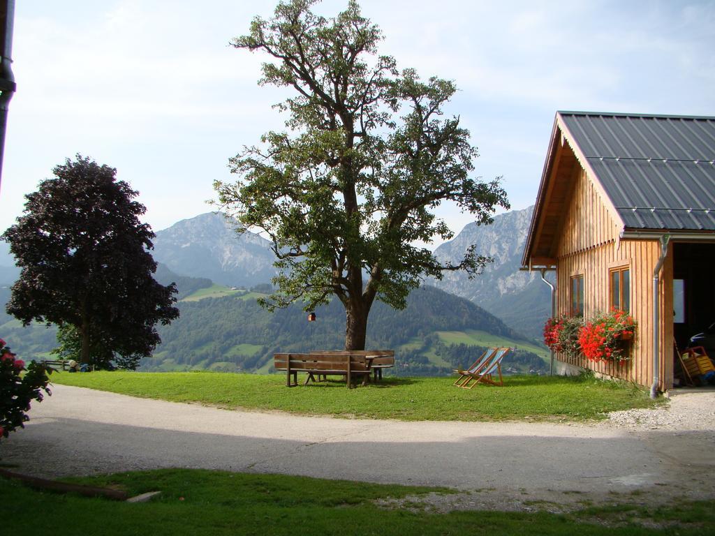 Bauernhof Ringlerhof *