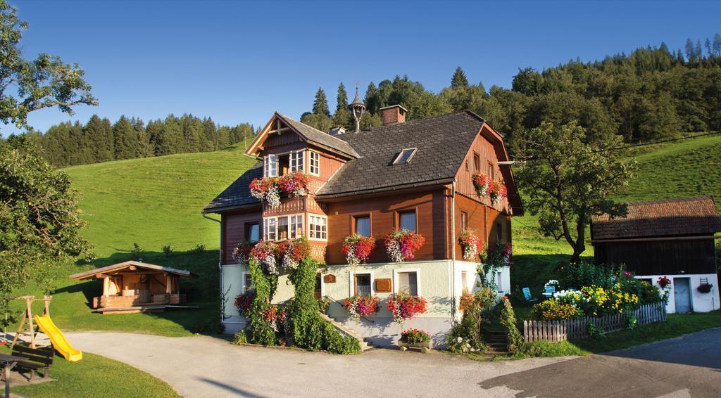 Ringlerhof Bauernhof Michaelerberg